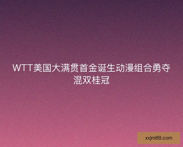 WTT美国大满贯首金诞生动漫组合勇夺混双桂冠